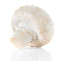 thubnail sub category